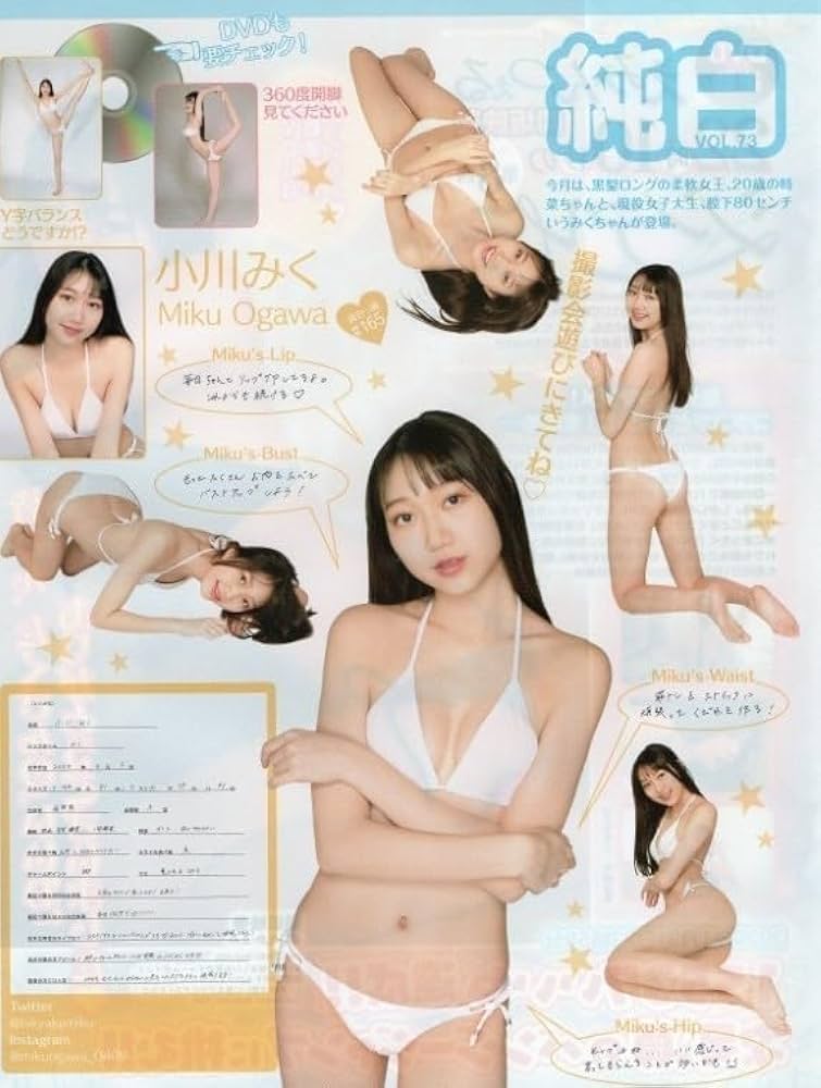 楽天ブックス: 【ベストヒッツ】あなた、許して・・・。 - 新井優香