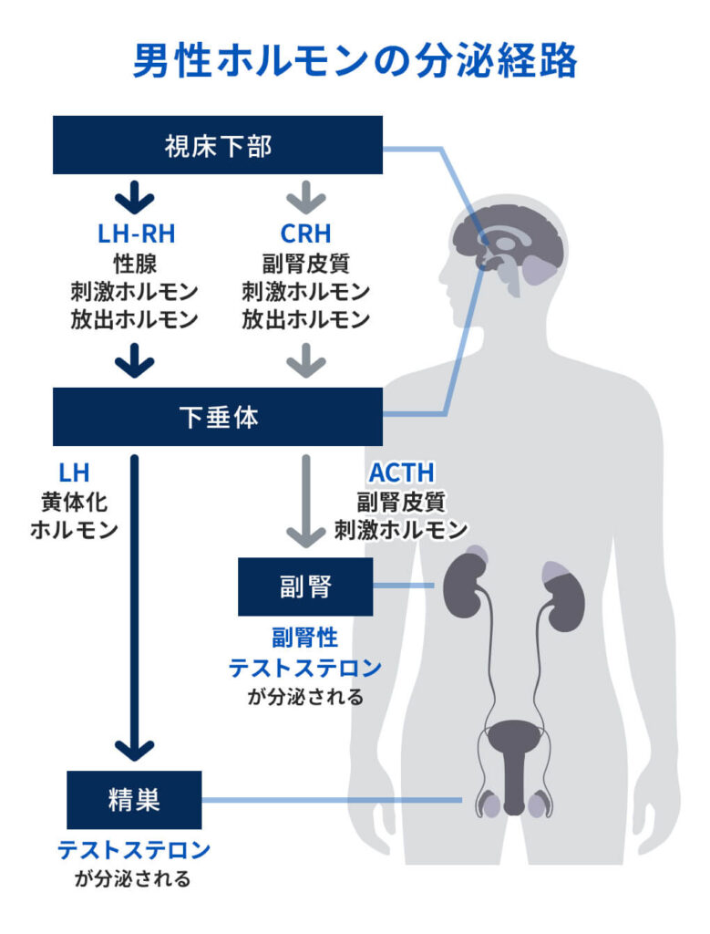 ポスト3.11時代の美術家・中島晴矢に個展の意気込みを訊く｜美術手帖