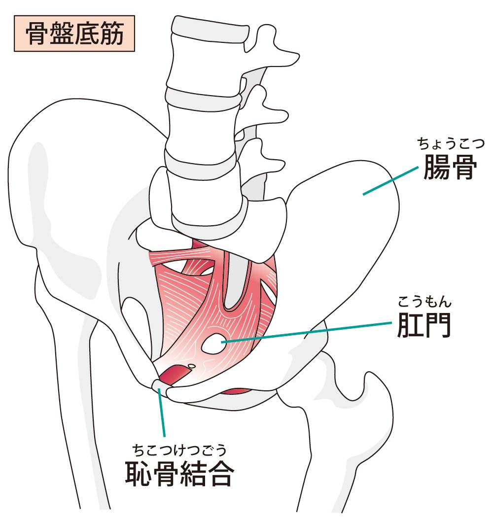 人類に性欲がある限り「愛愛內含光（セックスを語るなら）」 - 中華ぐるぐる丼