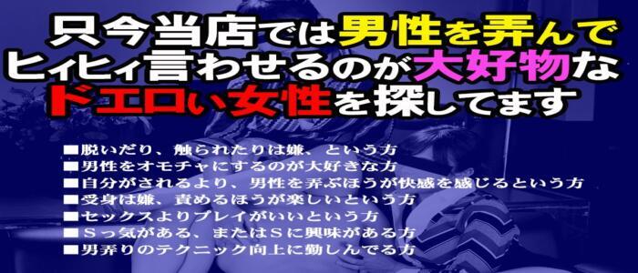 駿河屋 -【アダルト】<新品/中古>五反田寸止め抜き地獄 2 -M男くん大好きなお姉さんたちだけが在籍するお店