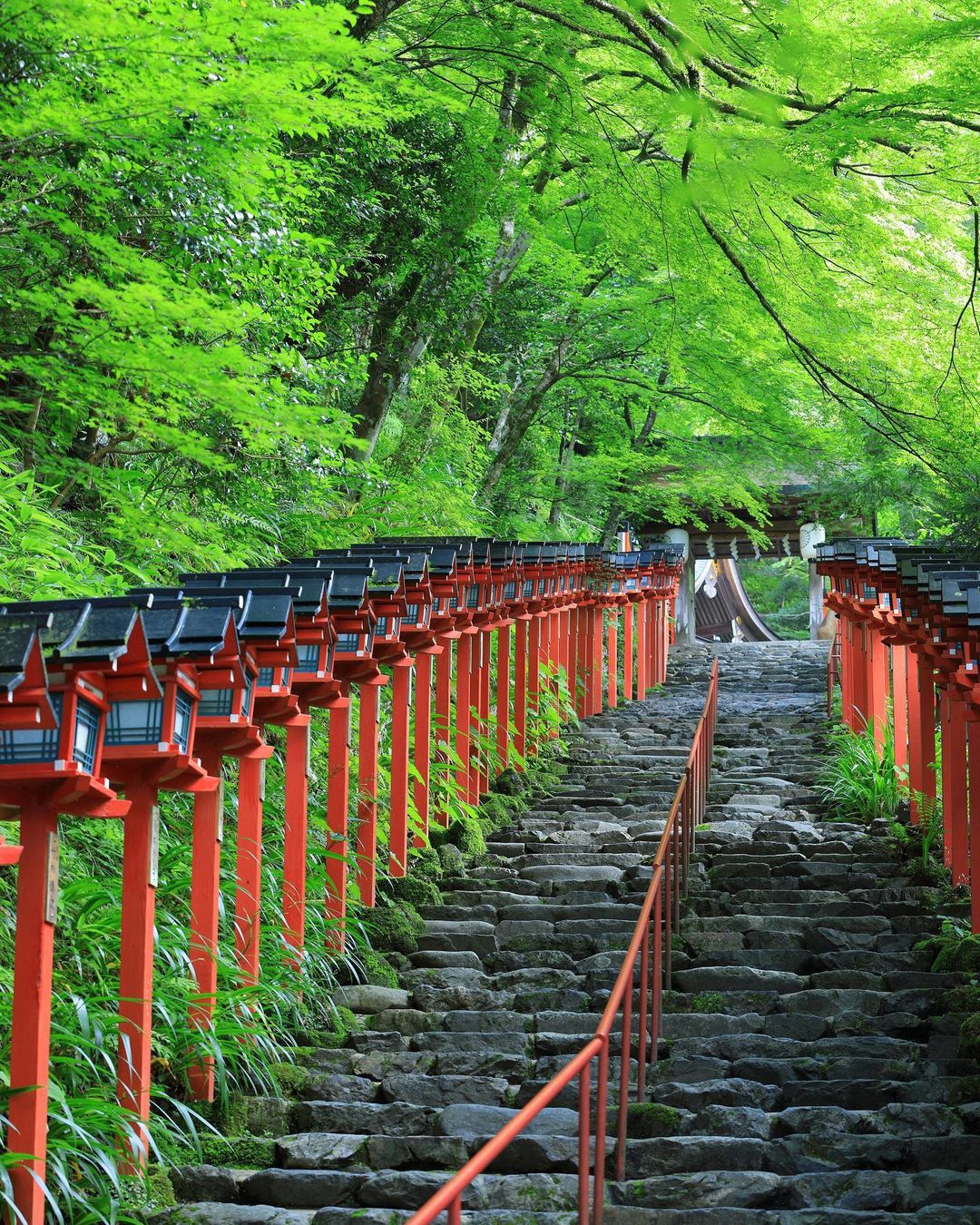 京都の夏観光おすすめ完全ガイド｜20選の楽しみ方 | VELTRA旅行ガイド