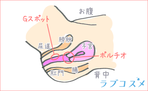 コラム】女性必見！彼も私も気持ちいい騎乗位のコツ３選 - 性癖マッチンコラム