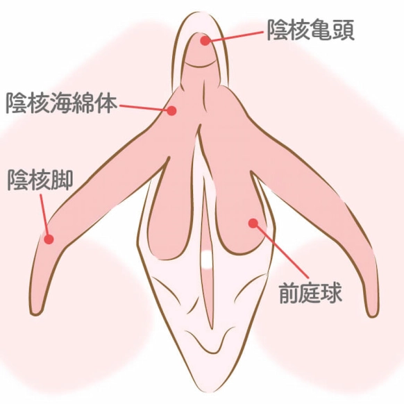 クリ勃起圧迫オナニスト - 変態動画・盗撮動画ならJADE NET(ジェイドネット)