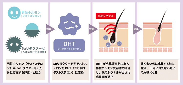 むっちりした胸がエロいガチムチ男がオナニー射精