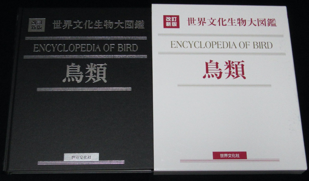 苫小牧のデリヘルおすすめ人気5店舗！最新情報を徹底的に調べてみた！ - 風俗の友