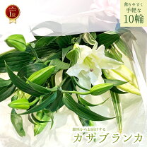 Amazon.co.jp: 百合 ヘッドドレス 造花 「Mサイズ」19~24cm（