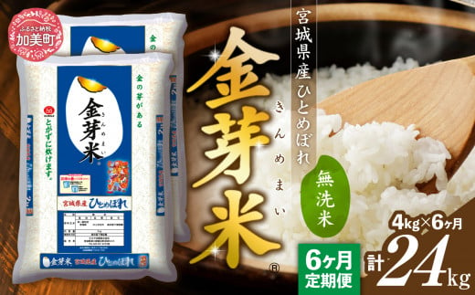 令和5年宮城県産 ひとめぼれ玄米25kg - 食品