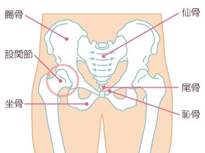 あなたはどのタイプ？鼠径部が痛くなる4つの原因とは？　｜京都市北区　もり鍼灸整骨院