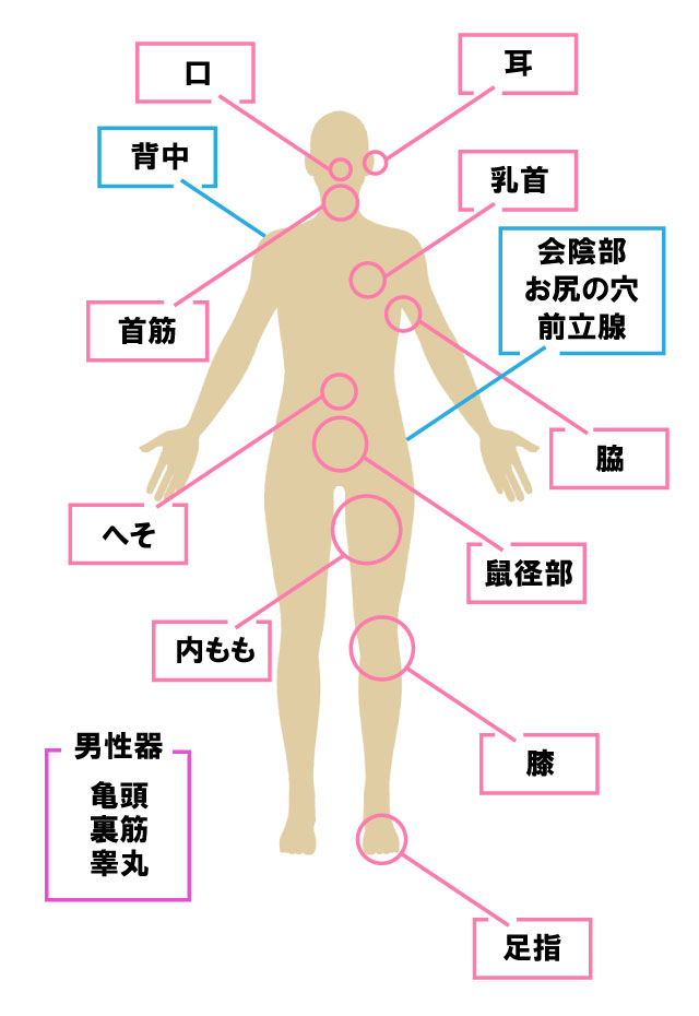 Aスポット開発刺激法 上級者編 |