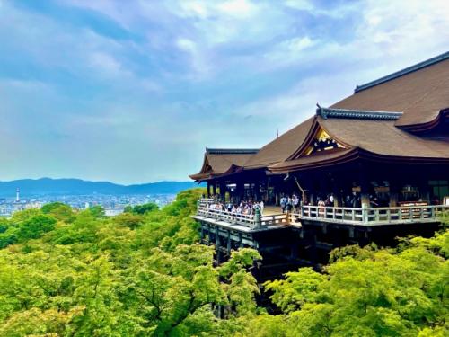 京都 夏の撮影スポット19選! 新緑の庭園やあじさい、海の景色など京都の夏の景色が満載! 旅行や観光スポット探しにおすすめ!