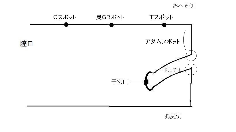 永遠嬢 в X: „ついにできたっ！