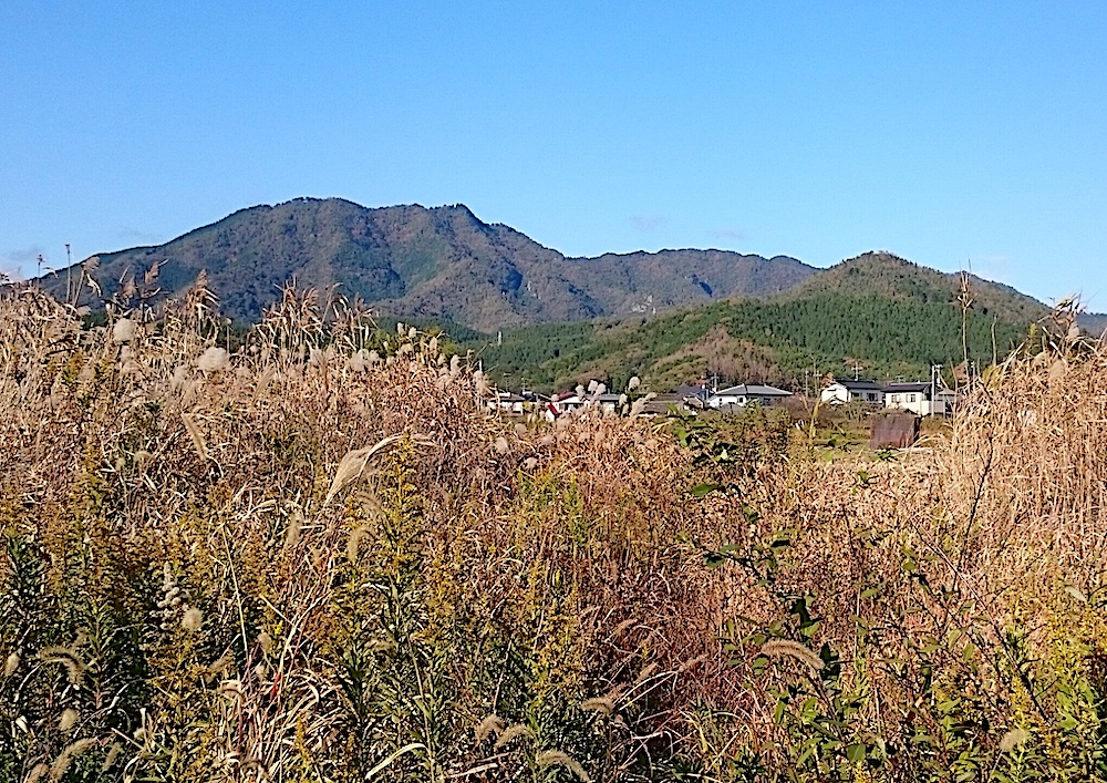 岩国駅周辺地区 グランドデザイン