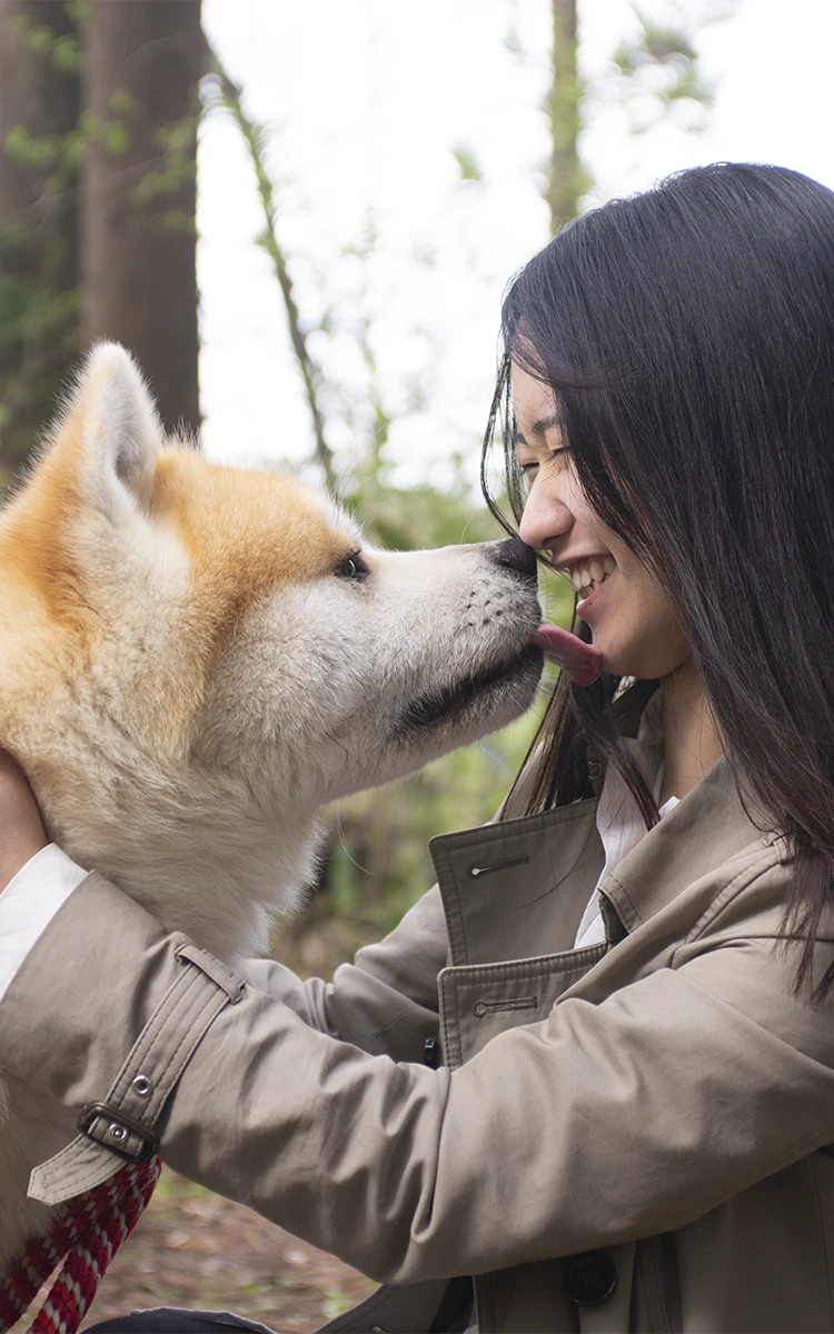 Akita Premium｜秋田 デリヘル｜秋田で遊ぼう