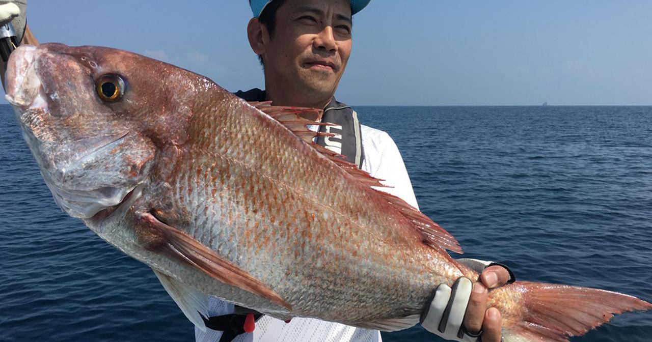 佐世保湾で釣れたブリの釣り・釣果情報 - アングラーズ | 釣果600万件の魚釣り情報サイト