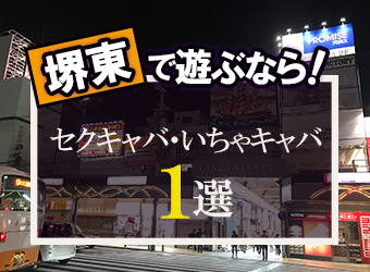 【2024年】堺東のおすすめセクキャバ2店を全24店舗から厳選！ | Trip-Partner[トリップパートナー]