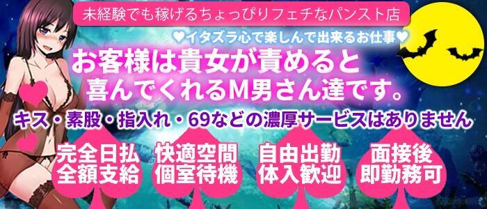 調布/府中の風俗の体験入店を探すなら【体入ねっと】で風俗求人・高収入バイト