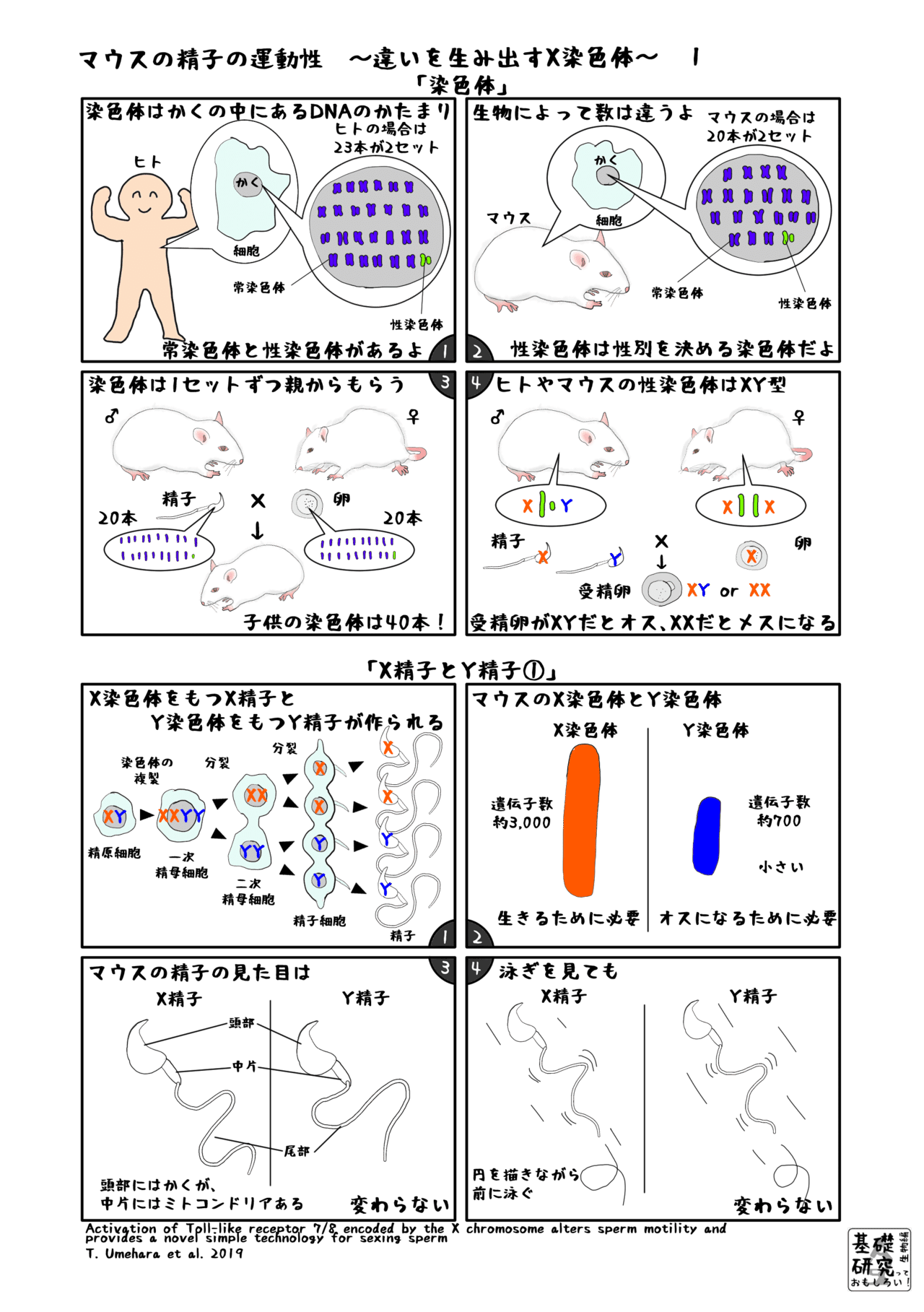 精子の質」の保証が甘い、現状の不妊治療 – MONEY PLUS