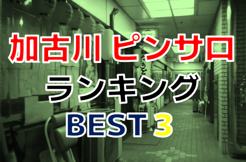 加古川のピンサロなら風俗王