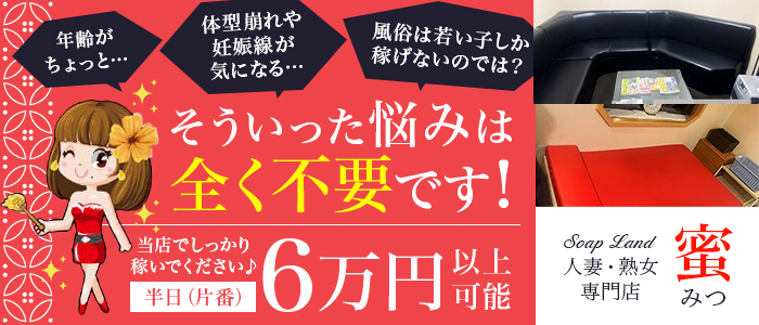 ソープランド蜜 人妻・美熟女専門店 - 札幌・すすきの/ソープ｜駅ちか！人気ランキング