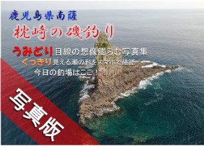 水揚げ情報 | 枕崎市漁業協同組合