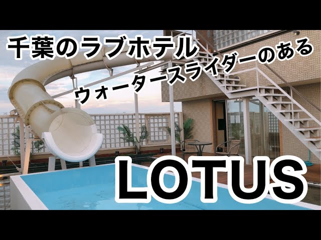 ロータス 千葉店 – ページ