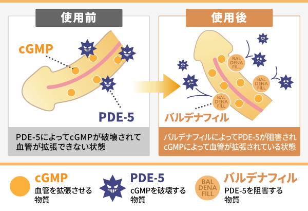 バリフ通販｜最安値1錠164円〜｜レビトラジェネリック｜ED治療薬