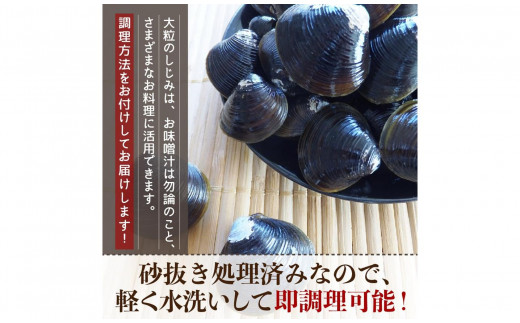 冷凍】十三湖産大和しじみ 砂抜き済：青森県産のシジミ｜食べチョク｜産地直送(産直)お取り寄せ通販 - 農家・漁師から旬の食材を直送