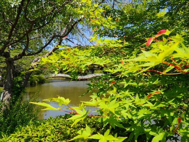 立川湯屋敷 梅の湯(東京都立川市) -