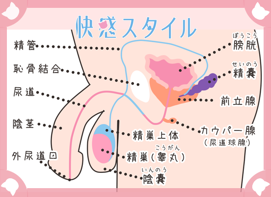 男の性感帯20選】彼をもっと感じさせる、愛撫のテクニックとは？ | VOLSTANISH