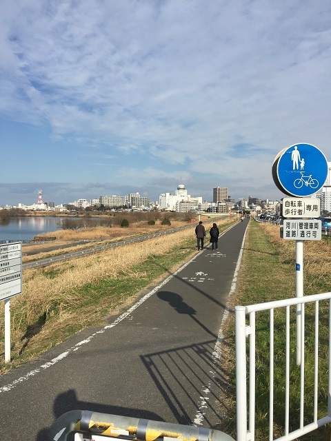 採集の記録：まこも池緑地，岩名調整池公園