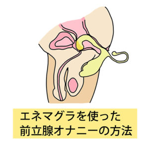 エネマグラで前立腺マッサージしてドライオーガズムを達成する方法 | シンデレラグループ公式サイト