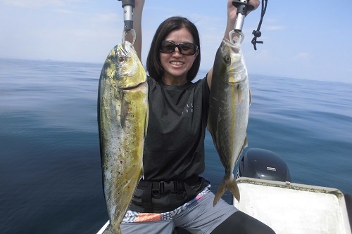 シイラ/鮮魚の産直通販：のん気な魚屋