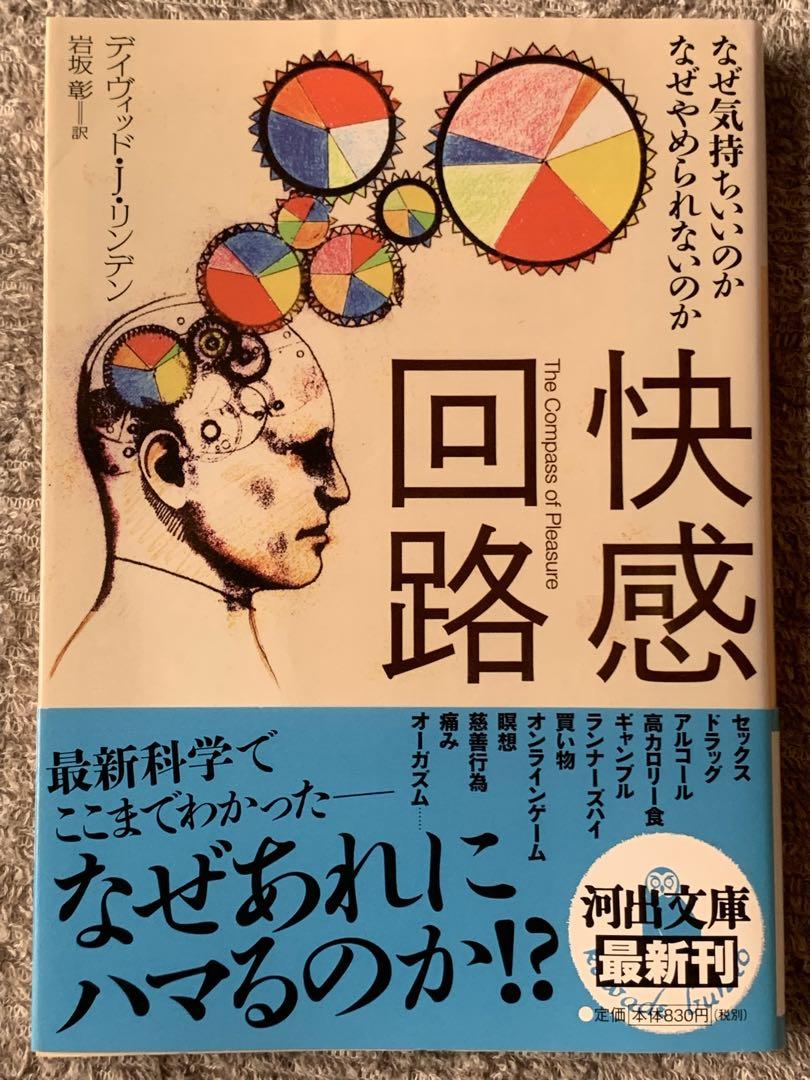 男性向け】なぜセックス中に「気持ちいい？」と聞く男はダメなのか？ - 〜直感的源論〜