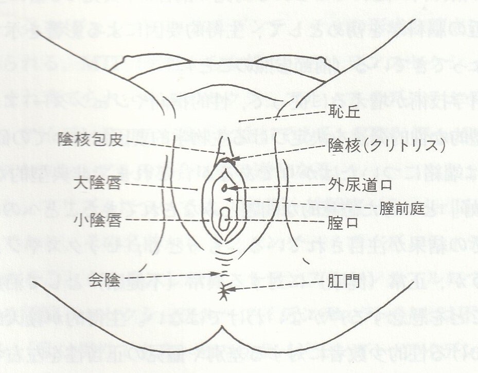 クリトリス革命を読んで： 女性の「イク」を学ぶために – メンズ形成外科 |