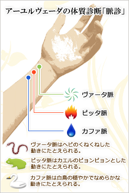 ピッタの食事法を紹介！食材、味など、アーユルヴェーダの体質別食事のポイント。