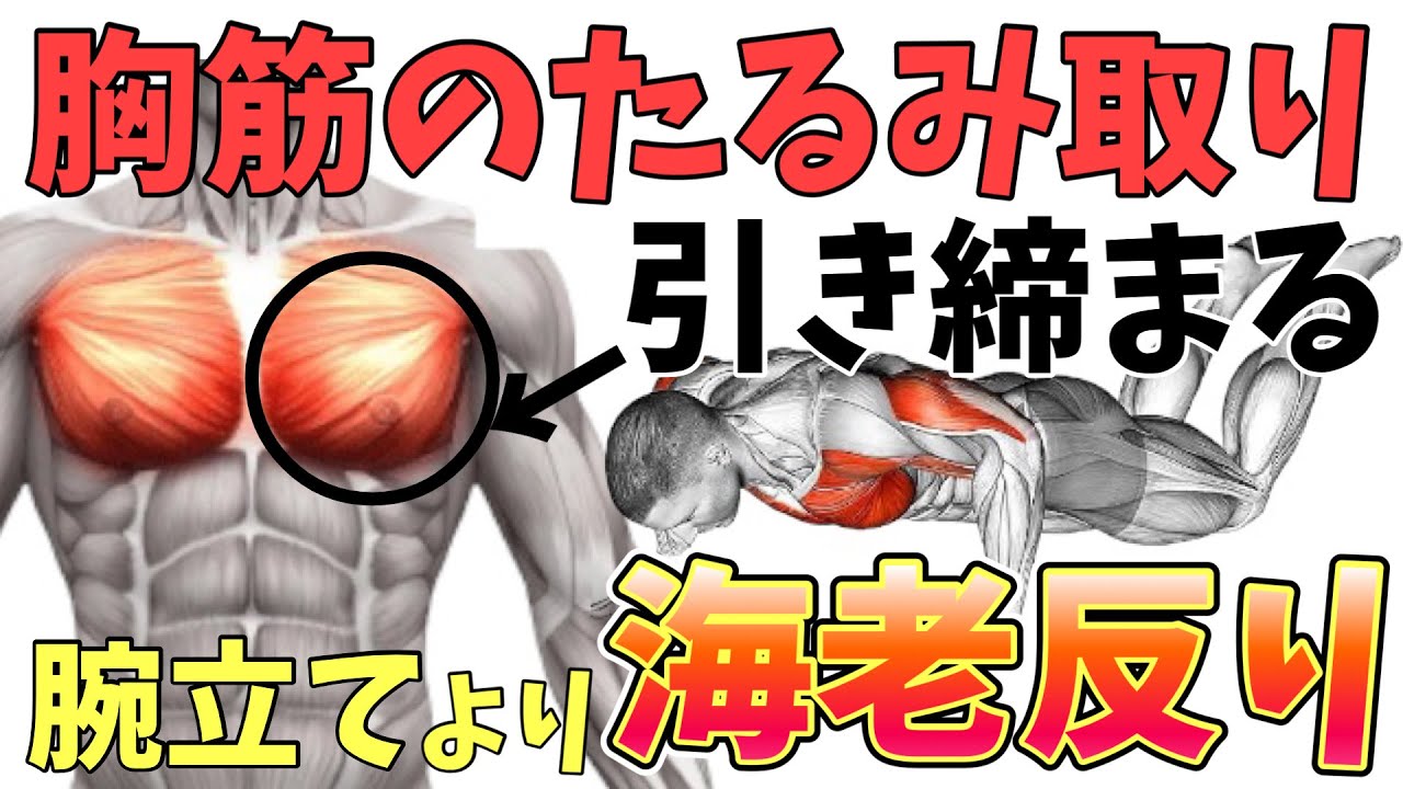 腹回りの皮下脂肪を落とす！男性向けに食事と運動のポイントを解説！（オリーブオイルをひとまわしニュース）