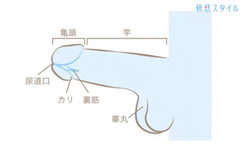 神は手に宿る！手だけで彼を果てさせるテク - 夜の保健室