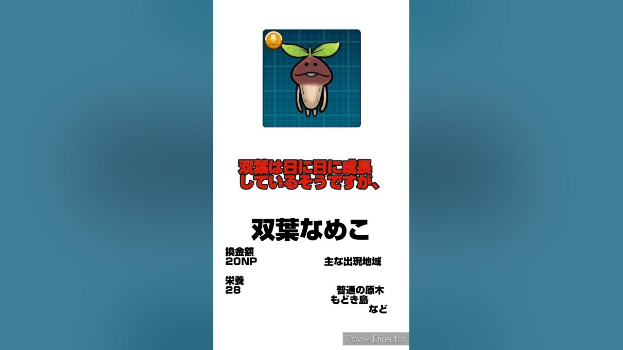 なめこDX極】ワクワクする薬2個をクリスマスプレゼント! &100万DL突破記念アンケートの結果発表｜なめこぱらだいす なめこ公式サイト