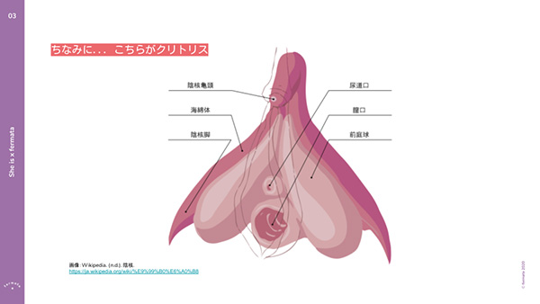 店舗在庫詳細 - エナメルスクエアカートバッグ |