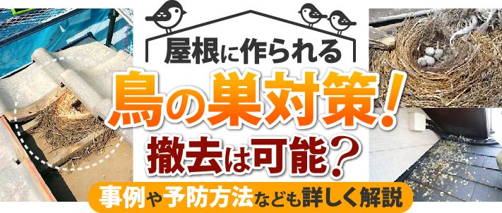 スズメバチが家で巣作り！？危険性と駆除方法を徹底解説 | 害獣駆除対策センター ホームレスキュー株式会社