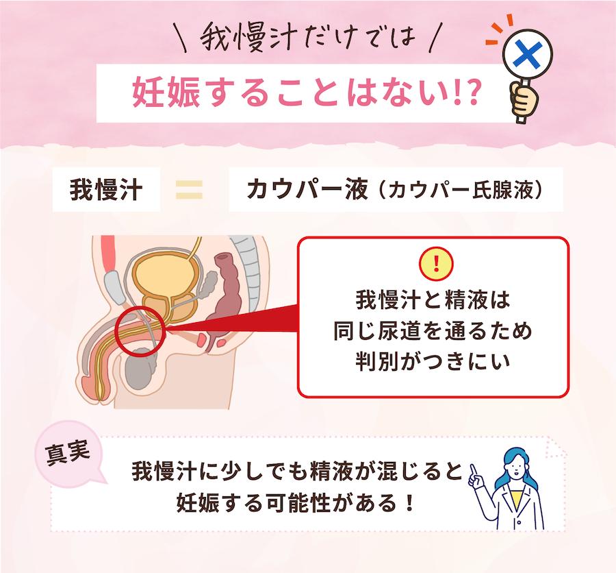 我慢汁や中出しの妊娠確率は？カウパー液（カウパー氏腺液）で失敗しないための対策