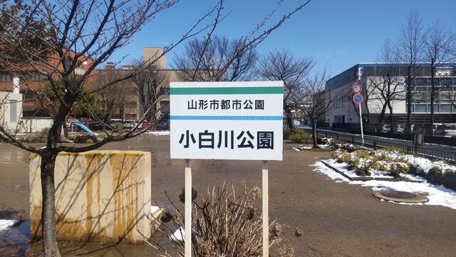 アルバガーデングランデージ白川公園の建物情報/熊本県熊本市中央区南千反畑町｜【アットホーム】建物ライブラリー｜不動産・物件・住宅情報