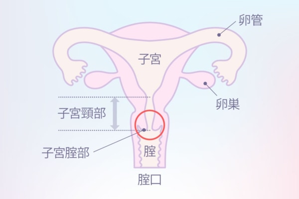 42歳で第3子出産の産後にオナニーでオルガズムのための性感帯の探し方とは【産婦人科医監修】 -  臨床心理士・パーソナルトレーナーの小中学生復学支援・小学生・中学生家庭教育支援・