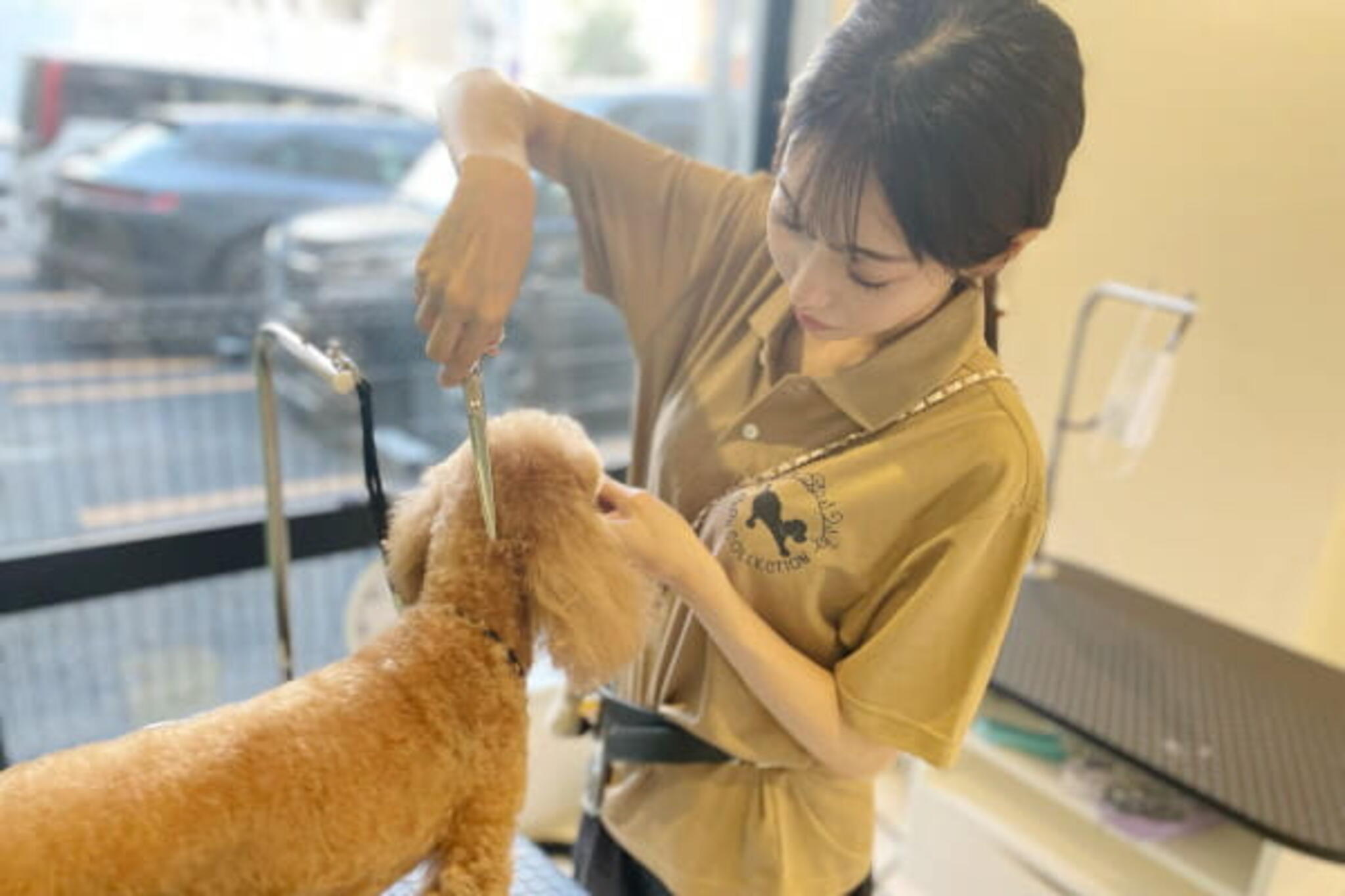 芝公園駅周辺の小型犬のトリミング・ペットサロン 14件【口コミ・写真多数】 |