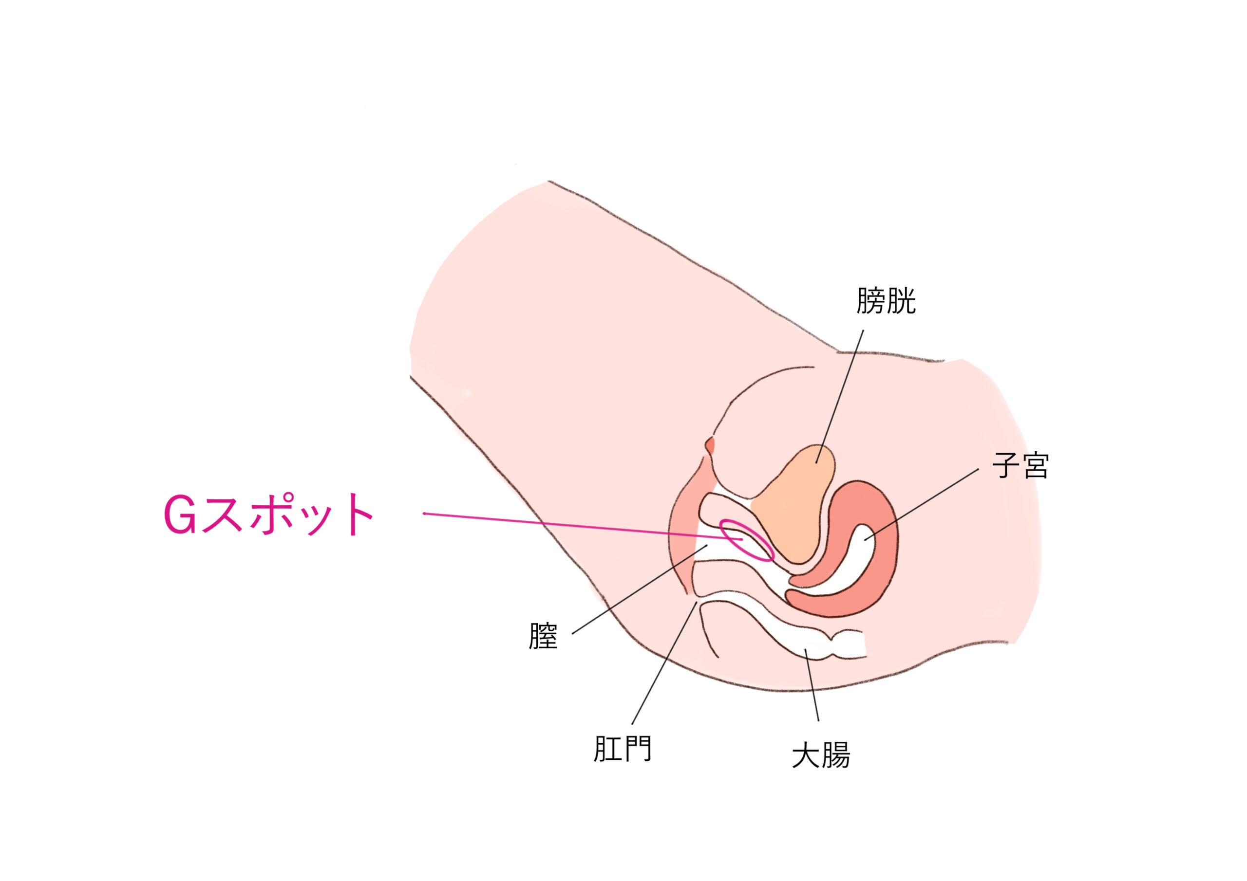 ヌルヌルのクリトリスを弄られたらたまらない！高速ピストンで連続イキ☆｜女性向けの無料アダルト動画なら｜LOVELY☆LABO