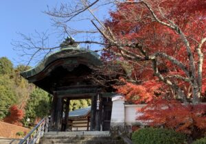 風俗用語辞典－「聖水 」の解説 風俗求人 高収入アルバイト｜びーねっと