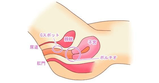 Gスポットの見つけ方と開発方法！攻め方やおすすめ体位を徹底解説｜風じゃマガジン