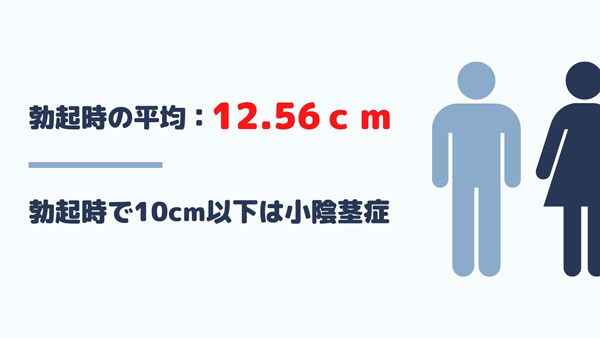 陰茎の大きさの基準は？ 大きく見せる方法も紹介