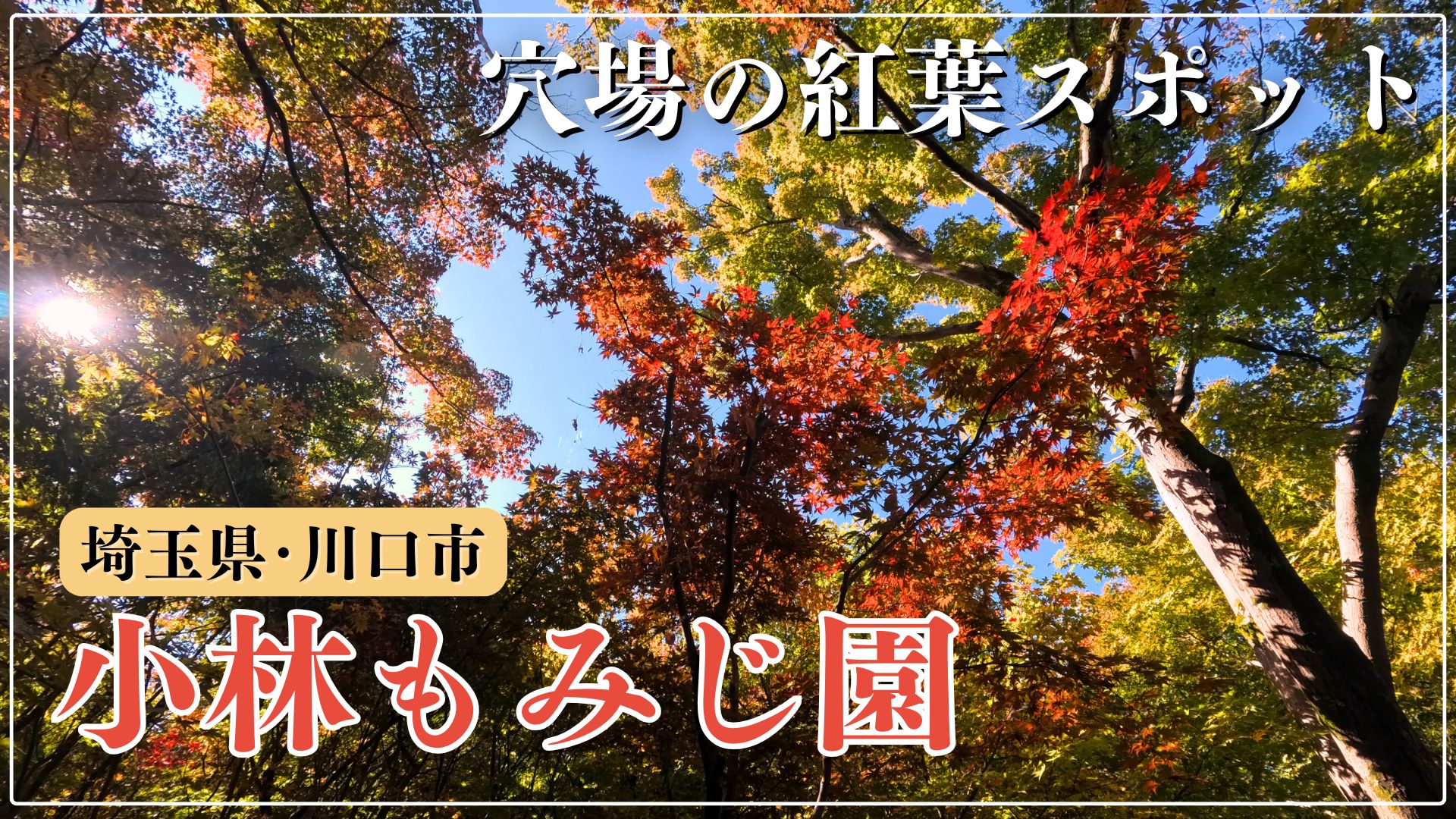 京都の穴場のオススメ紅葉スポット「光明寺」をご紹介！ | Woo!（ウー）