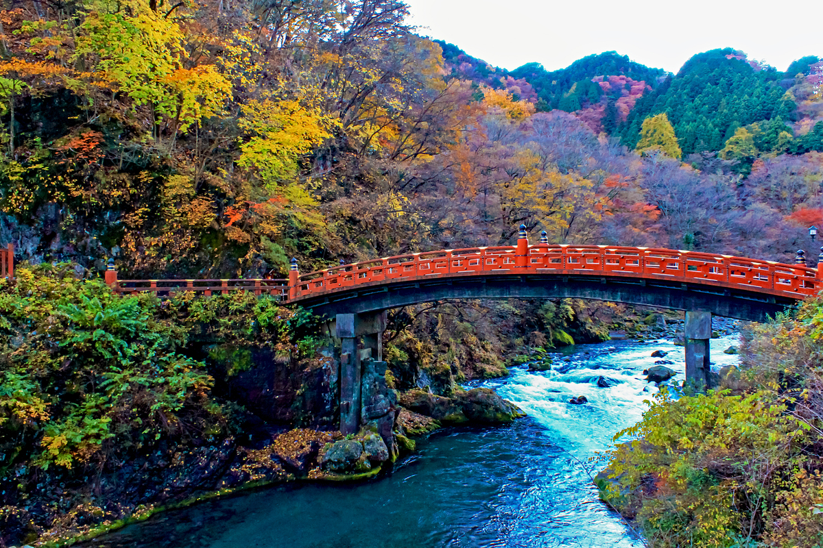 京都の紅葉“穴場”スポット♪知る人ぞ知る隠れた紅葉をゆったり愛でる | とっておきの京都プロジェクト